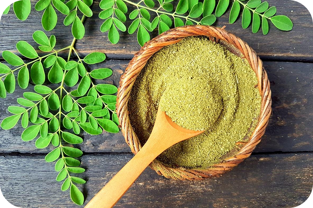 Moringa