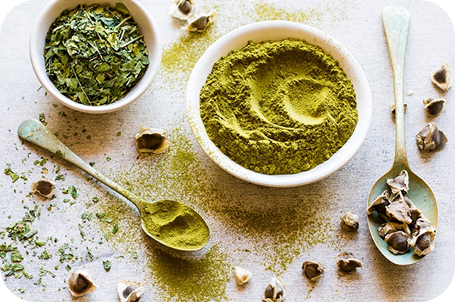 Moringa