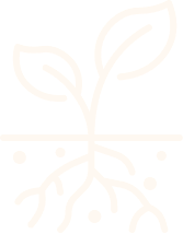 Soil Health